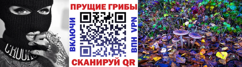 Галлюциногенные грибы ЛСД  купить наркоту  Колпашево 